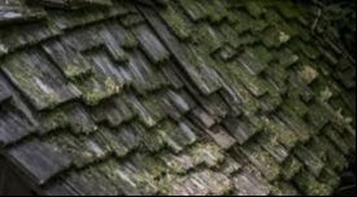 Moss Covered Wooden Shingles Richmond Virginia Roofing